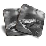 2 x Coasters (BW) - Green Anaconda Snake  #42989