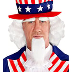 "MR. AMERICA WIG, GOATEE BEARD & EYE BROW" in box -