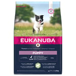 Eukanuba Puppy Small & Medium Breed Lamb & Rice - säästöpakkaus: 2 x 2,5 kg