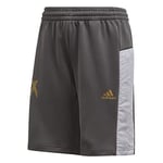 adidas B A.r. X Short pour Enfant S Gris (grisei/Dormet)