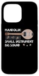 iPhone 14 Pro Max Mandolin Small Instrument Big Sound Mandolin Player Musician Case