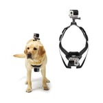 GoPro Hundsele