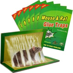 6 Pièces Piege a Souris Colle Collant Pièges à Souris Attrape Anti Souris Rat Glue Plaque Collante Piège Souris et à Rat