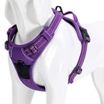 WINHYEPET True Love Dog Harness, No-Pull Reflective Pet Harness with 2 Leash Clips Adjustable Soft Padded Dog Vest with Easy Control Handle for Small Medium Large Dog TLH5651(Purple,XL)