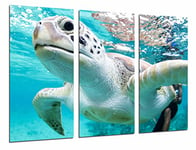 Tableau Moderne Photographique, Impression sur bois, Animal sauvage, tortue de mer natation, eau, 97 x 62 cm, ref. 27010