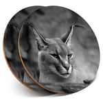 2 x Coasters bw - Caracal African Lynx Cat  #38979