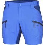 Jotunheim Fossberg Shorts Herre