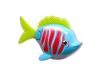 Rainbow Reef Fish - Beta Fish