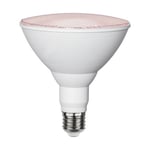 LED växtlampa E27 Par38 Plant Light