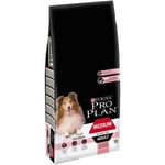 Croquettes pour chien Pro Plan Medium Adult Sensitive Skin riche en saumon et riz 14kg