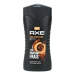 12x AXE Sombre Tentation 5in1 250ml Shampooing Gel Douche Haarwäsche Du Hommes