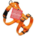 Consentida Harnais pour Grand Chien T4 - Taille XL 42-70 x 2,5 cm - uni - Orange Fluo - Tissu résistant fabriqué en Nylon - Facile à Attacher - Accessoires pour Chiens