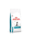 Royal Canin Hypoallergenic Puppy hypoallergeenisille pennuille, 1,5 kg