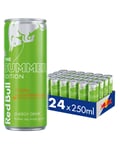 Red Bull Summer Edition Curuba og Hylleblomstsmak 24x250 ML