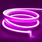 Lamomo Neon Ruban Led 5m, 12V Pourpre Bande Led, Flexible Étanche Découpable Silicone Bandeau Lumineuse Led pour Intérieur Décoration, Chambre, DIY Sign (Adaptateur électrique non inclus)