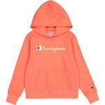 Champion ICONS Hoodie Jente