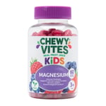 Chewy Vites Kids Magnesium 60 Gummy Vitamins |500mg Magnesium Citrate Providi...