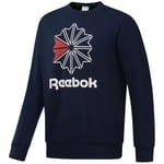 Sweat-shirt Reebok Sport  AC FT BIG STAR