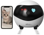 Ebo SE Portable Pet Camera