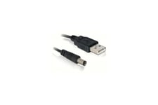 Delock - strømkabel - DC jack 5,4 mm til USB - 1 m