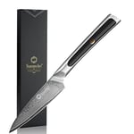 Sunnecko Paring Knife 3.5 Inch, Fruit Knife with 67-Layers Damascus Steel VG-10 Blade Small Knife, Peeling Knife with Inlaid Handle Small Kitchen Knife for Cutting Fruit Petty Knife