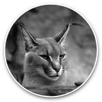 2 x Vinyl Stickers 20cm (bw) - Caracal African Lynx Cat  #38979