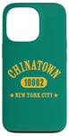 iPhone 13 Pro CHINATOWN 10002 NEW YORK CITY / NYC Athletic Design Case