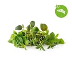 Click & Grow Smart Garden Refill 9-pakning italiensk urtemiks