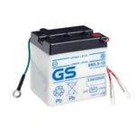 GS Yuasa 6N5.5-1D(DC) 6V Conventional Startbatteri