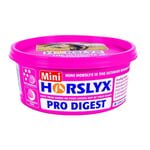 Slicksten Horslyx Pro Digest 650 g