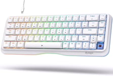 K68se Clavier Gamer Mécanique 60% Câblé avec Interrupteur Marron,Rétroéclairage RVB,Ype-c Gaming Mechanical Keyboard Compact 68 Touches Anti-ghosting-US Layout,Blanc