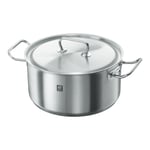 ZWILLING TWIN Classic 28 cm 18/10 Stainless Steel Stew pot silver