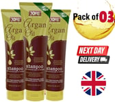 3 x Argan Oil Shampoo 300ml with Moroccan Extract - Moisturize & Repair Hair