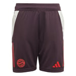 adidas Bayern München Shorts Tiro 24 - Bordeaux/Röd Barn adult IS9953