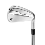 TaylorMade P790 Iron Set