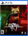 Annapurna Interactive Stray ( Import)