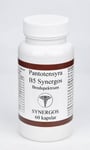 B vitamin B5 Pantotensyra Synergos (trötthet, energioms etc) 60 tabl