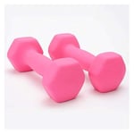 Shengluu Weights Dumbbells Sets Women Cast Iron Hex Dumbbell Exercise Weights For Core And Strength Training (Color : Pink, Size : 3kg*2)