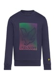 Dotted Eagle Graphic Sweatshirt Purple Lyle & Scott