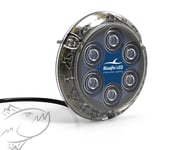 Bluefin LED Piranha P6 Nitro Underwater Light Sapphire Blue 40W 12V