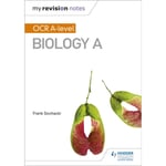 My Revision Notes: OCR A Level Biology A (häftad, eng)