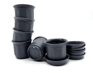 Kimmel Lot de 6 Mini Pots de Fleurs, 6 cm, avec Soucoupe, Gris