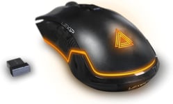 Ar18-Souris Gaming Sans-Fil & Filaire,Capteur Optique Jusqu'À 4800 Dpi,Souris De Jeu Avec 4 Patins En Céramique Pour Améliorer La Précision Et La Vitesse-Noir Jvapcm00538