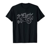 England Medieval Britain Ancient Dragon Wessex Wyvern Anglo T-Shirt