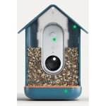 Bird Buddy Smart Bird Feeder with Solar Panel