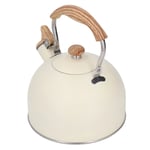 Whistling Kettle Saving Energy Tea Kettle 2.5L For Home