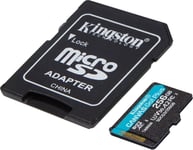 Kingston Canvas Go! Plus - microSD Memory Card - 256GB