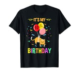 Its My 10th Birthday Cat T-Shirt