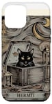 iPhone 15 Pro Max The Hermit Tarot Card Cat In Box Mystic Funny Cat Case