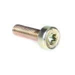 Vis Torx 27 M5 x 18 pour tronçonneuse Stihl 017 MS170